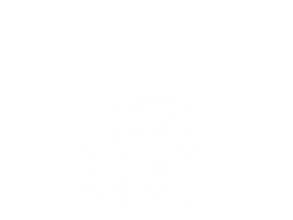 Logo &#34;Certified DYS&#34; indiquant qu’un contenu, un support ou un produit est adapté aux personnes présentant des troubles DYS (dyslexie, dyspraxie, dysphasie, etc.). Le visuel comporte une typographie stylisée simulant une perception désordonnée des lettres, en référence directe aux difficultés de lecture associées aux troubles DYS. Ce label vise à garantir une meilleure accessibilité cognitive.