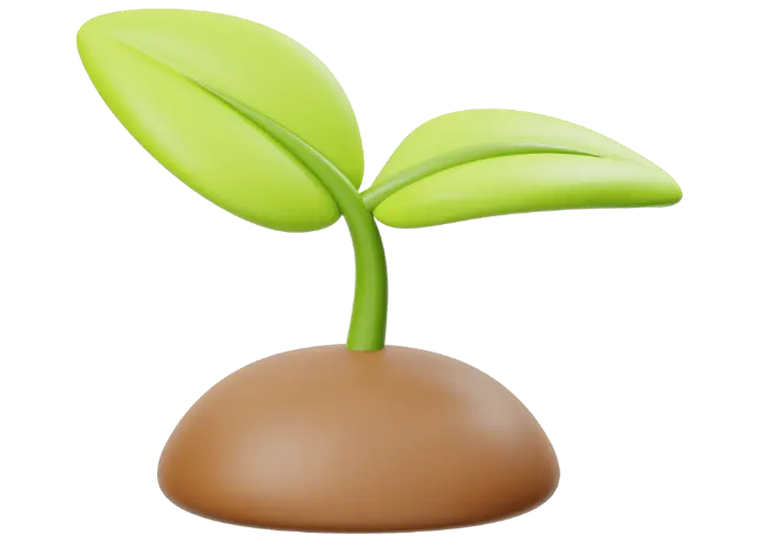 Illustration 3D d’une jeune pousse verte à deux feuilles sortant d’un sol brun arrondi. Le style est lisse, moderne et légèrement cartoon, adapté pour illustrer la croissance, le développement durable, l’éducation, l’entrepreneuriat ou l’innovation verte. Image idéale pour des contenus liés à l’écologie, à la formation ou aux startups.
